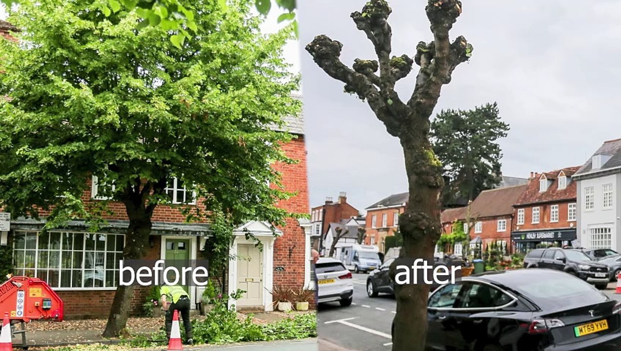 Council 'butchered' trees in market town