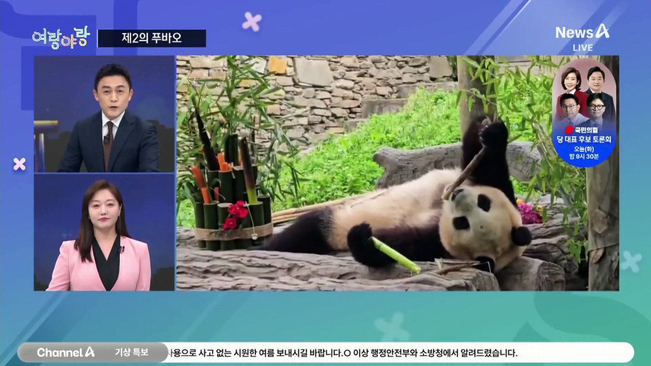 [여랑야랑]‘탄핵글’ 알바모집? / 홍준표·오세훈 ‘제2의 푸바오’ 경쟁? / ‘최장...