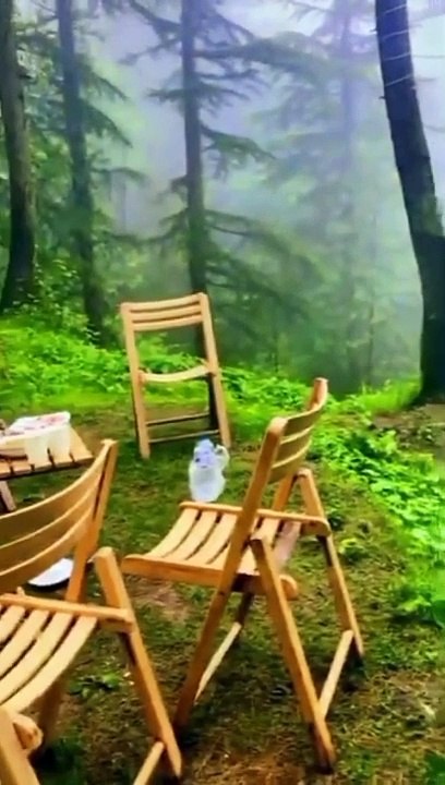 Discover Punjab's Eco-Friendly Glamping Pods Villages | Unforgettable Stay Experience!"