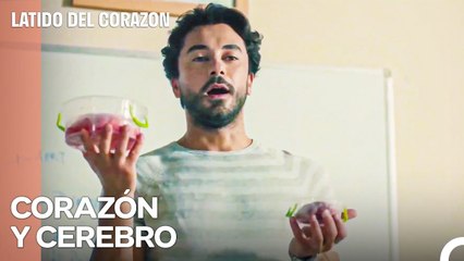Dos Órganos Que Se Necesitan - Latido Del Corazon