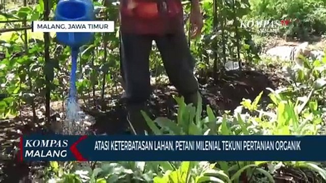 Atasi Keterbatasan Lahan, Petani Milenial Tekuni Pertanian Organik