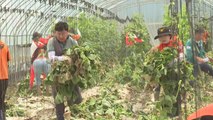 [전북] 김관영 전북지사, '광역단체장 직무수행 긍정평가' 첫 1위 / YTN