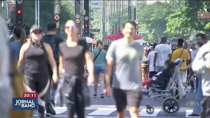 Animais silvestres se adaptam e moram nas cidades