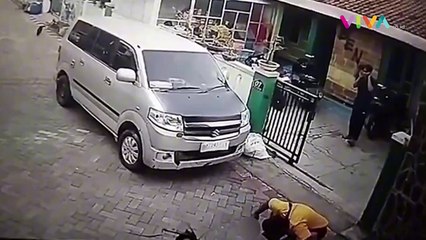 BRUTAL! CCTV Penembakan Kucing Sampai Mati, Ini Motifnya