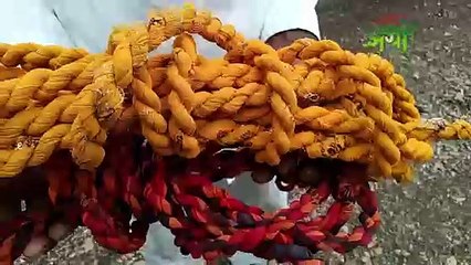 शेतकऱ्यांमध्ये सध्या हा कासरा होतोय लोकप्रिय