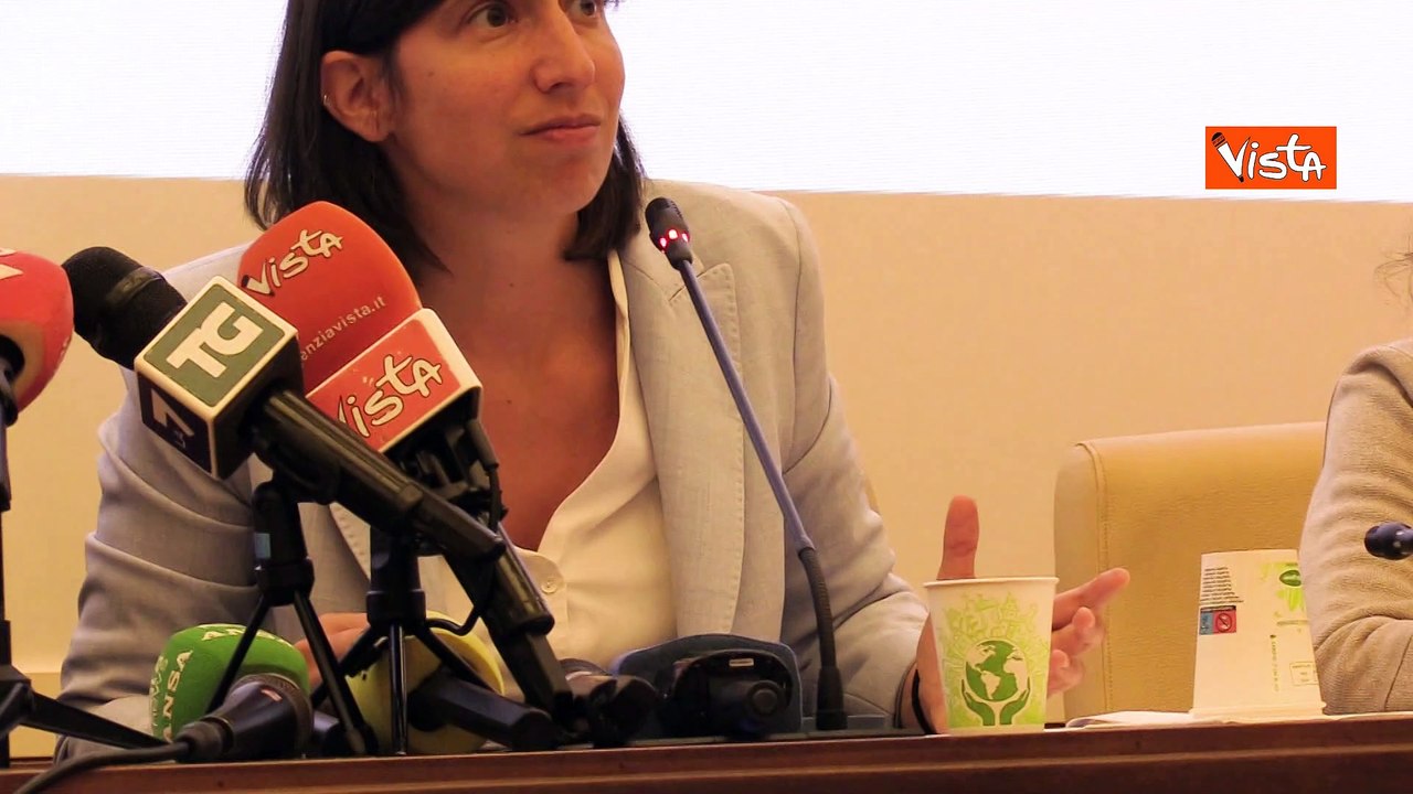 Decreto liste d'attesa, Schlein: "Una boutade elettorale Meloni per tenere buono Salvini"