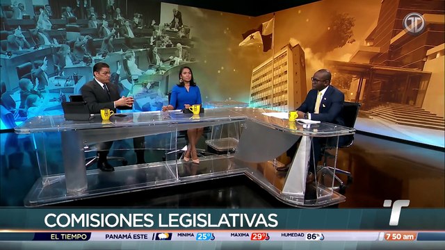 Diputado Buchanan detalla sobre conformación de bancadas y posiciones que les corresponde en las comisiones