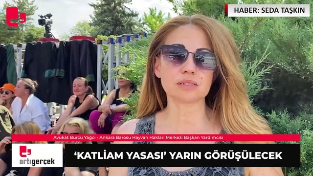 Meclis barikatla kapatıldı, avukatlara şiddet uygulandı... ‘Katliam Yasası’ yarın görüşülecek | Haber: Seda TAŞKIN