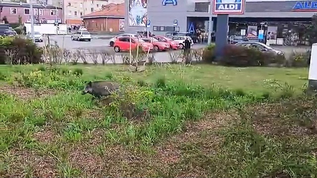 Kf_CWWKc