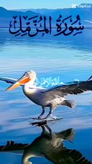 Quran tilawat allahoo akbar