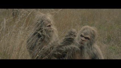 ¡No te pierdas el emocionante tráiler de Sasquatch Sunset (2024)! 🌅