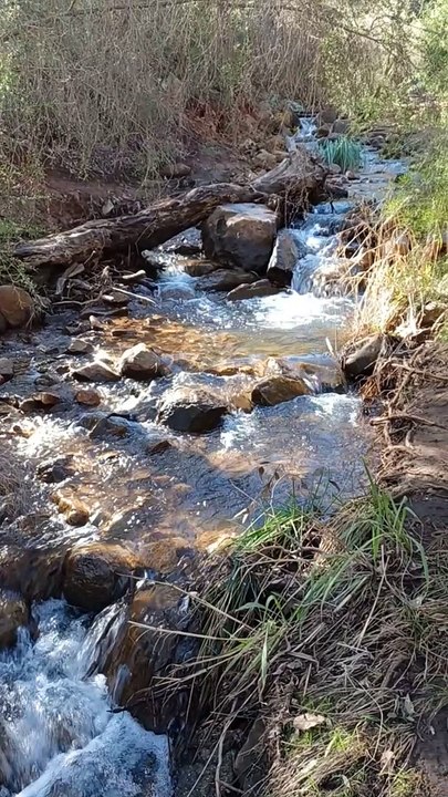 Lesmurdie falls brook