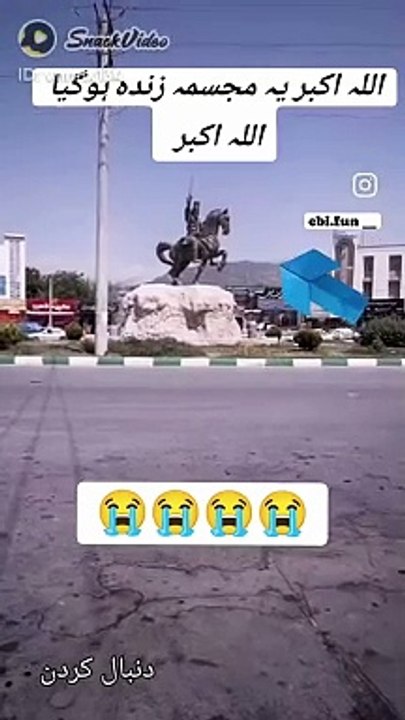 Funny video