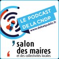 Collectivités territoriales et cndp : la convention citoyenne métropolitaine sur le climat de grenoble alpes métropole (2/2)