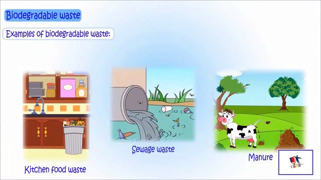 Biodegradable And Non-Biodegradable Waste