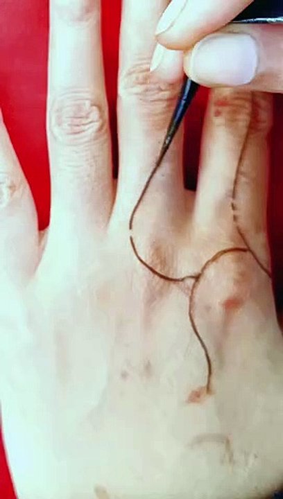 Quick and easy mehndi leaves design // henna vines design//beautiful attractive mehandi design