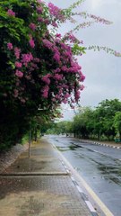 VID-20240707-WA0033