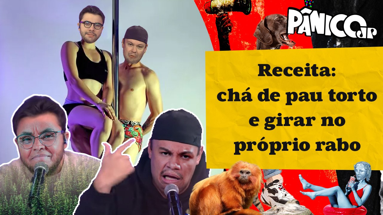 ALBA DAS FLORESTAS E MICO-LEÃO-MORGADO DÃO DICAS PARA FAZER UM BOM POLE DANCE