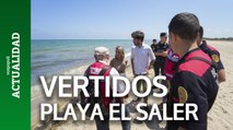 Prohíben el acceso a lo largo de unos 2 km en las playas del Saler por un vertido contaminante