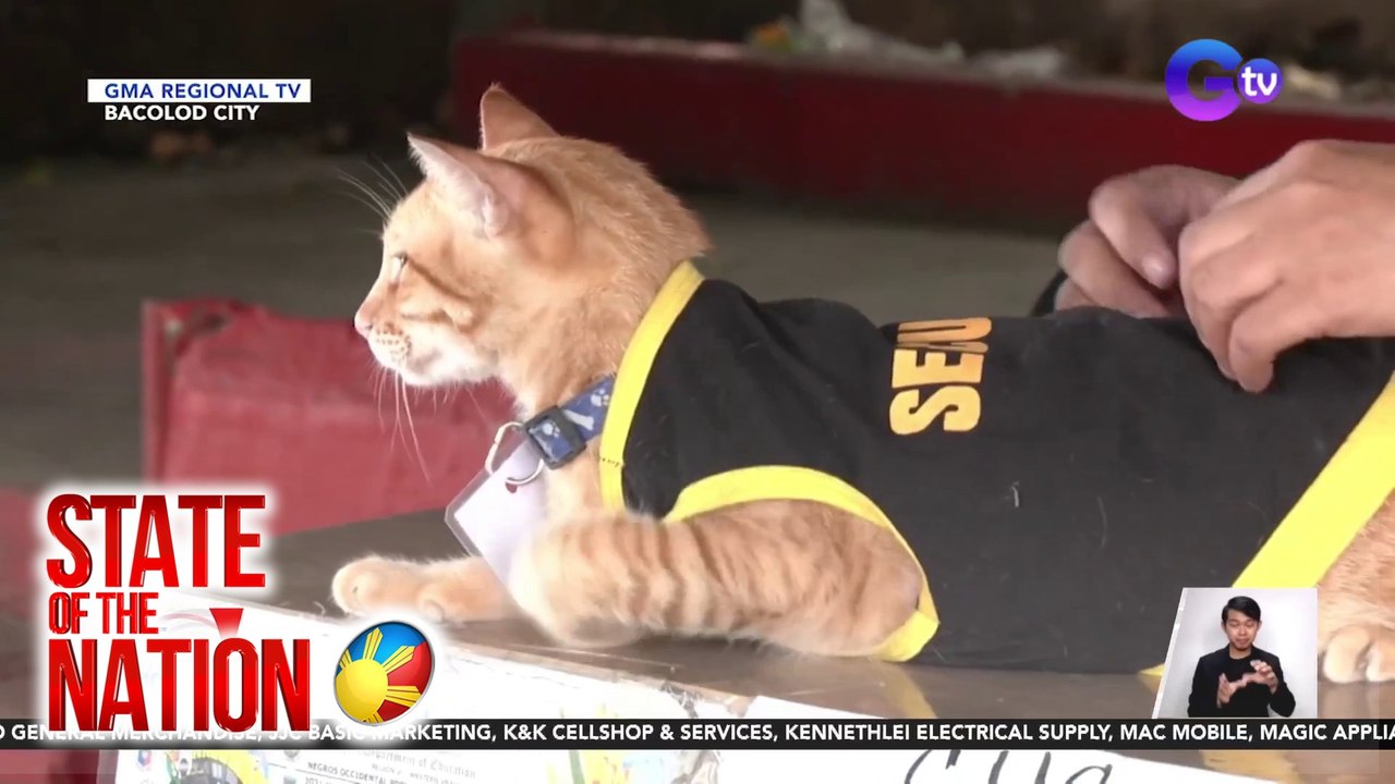 State of the Nation Part 3: Security Guard na pusa