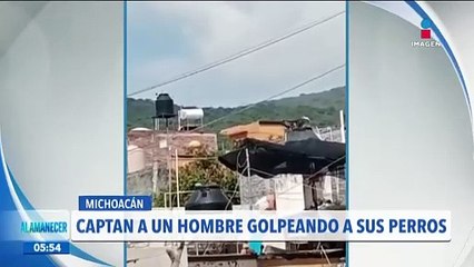 Captan a hombre golpeando a sus perros en Michoacán