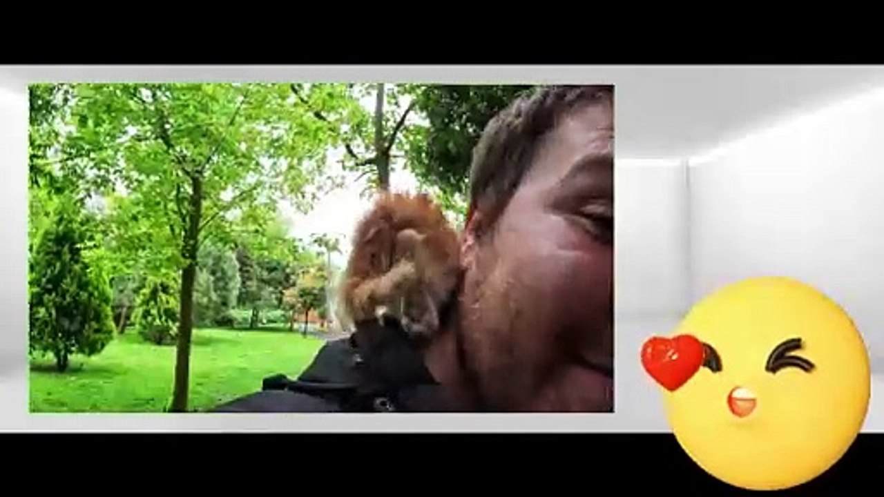 Two Tiny Orange Kittens Cry for Help on a Rainy Day