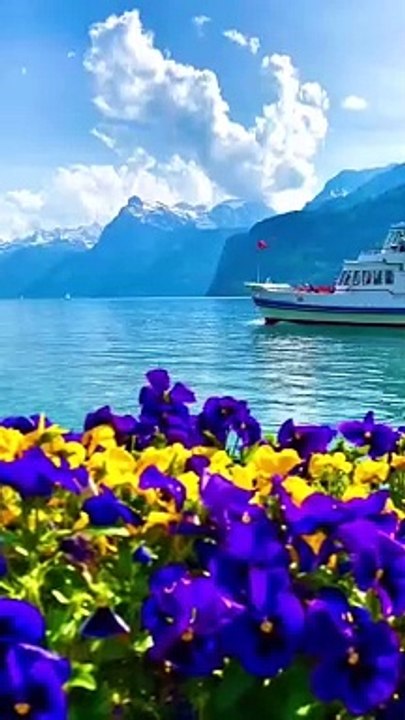 Kashmir and nice video