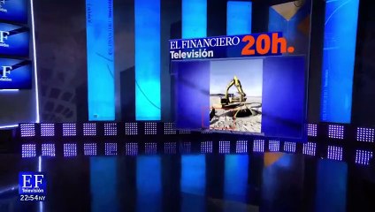 Hallan especie rara de ballena varada en Nueva Zelanda