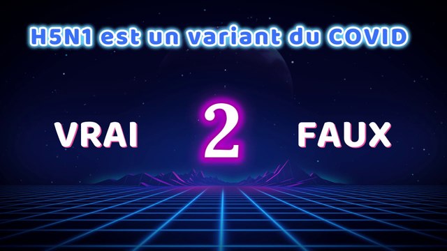 Quiz de culture générale n°2 I 30 questions VRAI/FAUX de culture G