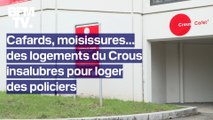 Cafards, crottes de souris, moisissures... des résidences étudiantes insalubres pour loger des policiers pendant les JO