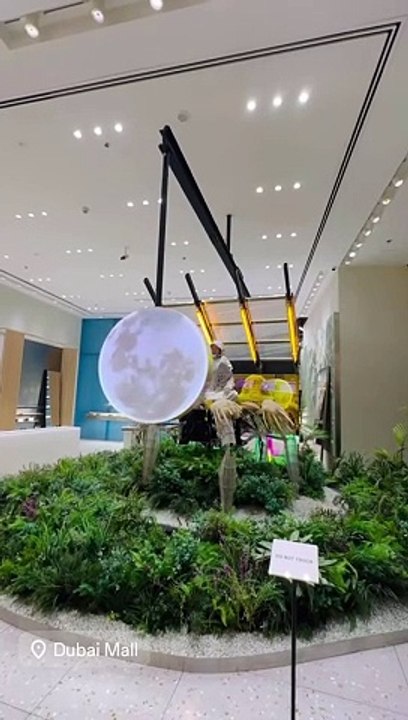 Dubai Mall Beauty #uae #dubai