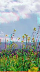 Redefining Success: Serving Humanity First