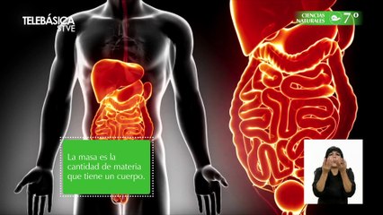 La materia y sus propiedades #25, 7º Ciencias Naturales Lección Educativa