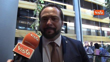 L'ex europarlamentare Castaldo: "Importante che Italia abbia di nuovo due vicepresidenti"