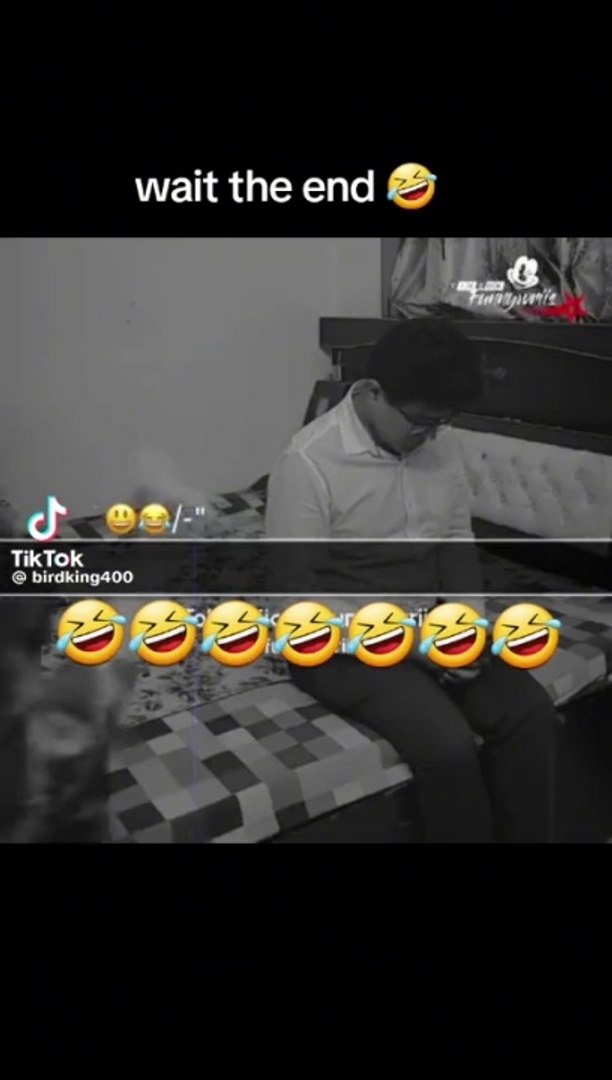 Funny videos for entertainment