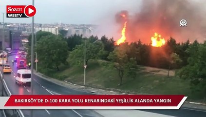 Bakırköy'de D-100 kara yolu kenarındaki yeşillik alanda yangın