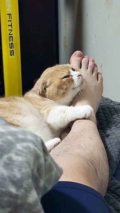 _Until she bites you -  #shorts