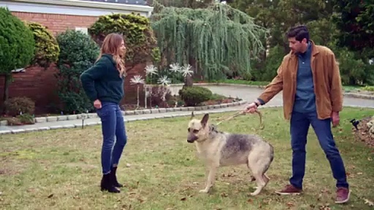 Holiday in the Hamptons  Official Trailer