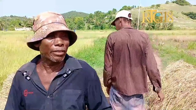 Saint-Louis du Sud - Plantè diri nan 6è seksyon Solon mande èd otorite yo nan leta pou fè jaden.