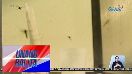 DOH – Dengue cases, umakyat na sa mahigit 90,000 | Unang Balita