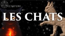 Les Chats - Occulture Episode 34