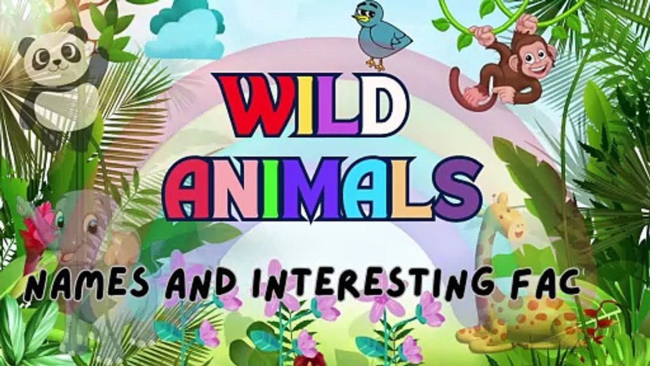 WILD ANIMALS