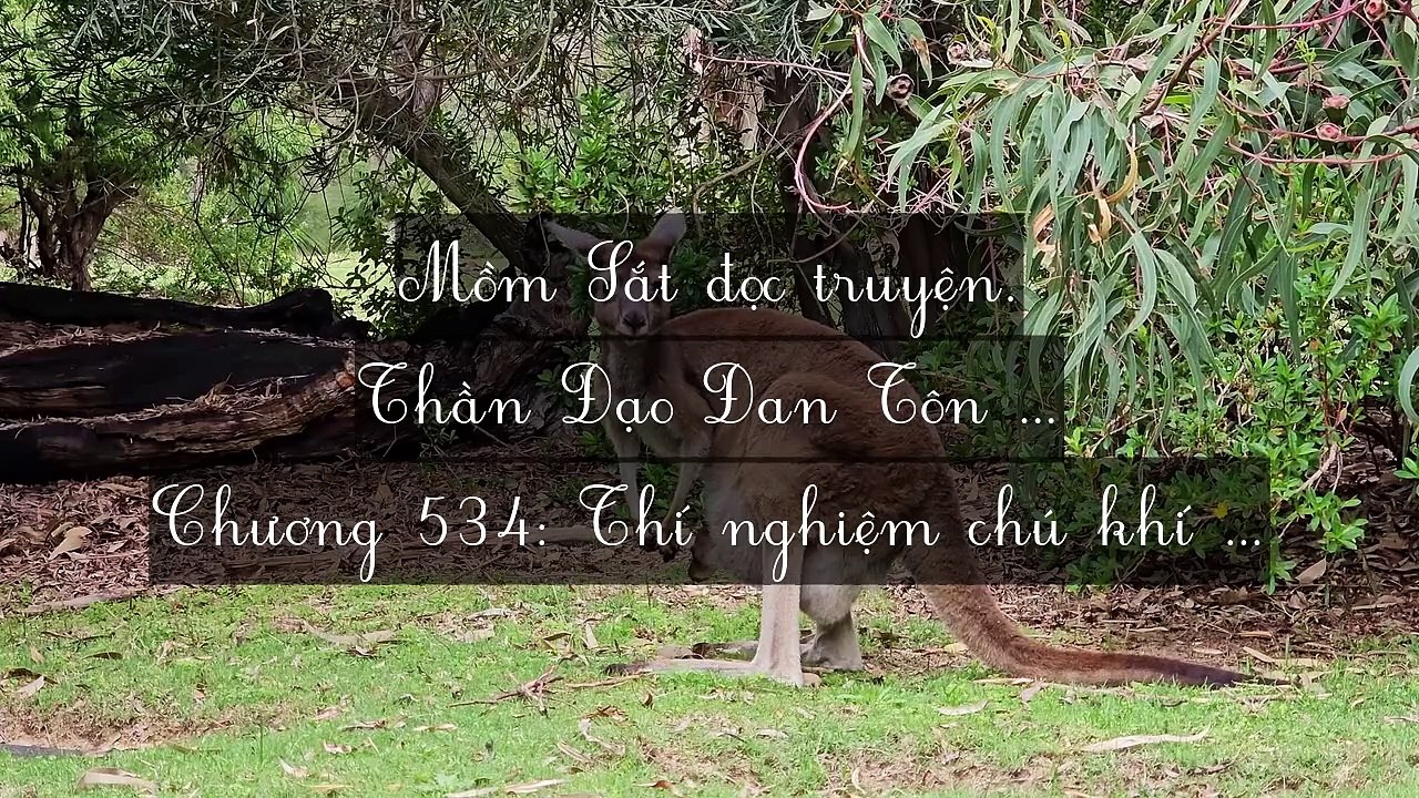 Mới 2024 Chương 531-540: Thần Đạo Đan Tôn