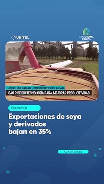 Exportaciones de soya y derivados bajan en 35%