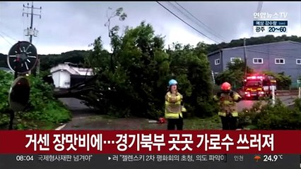 거센 장맛비에…경기북부 곳곳 가로수 쓰러져
