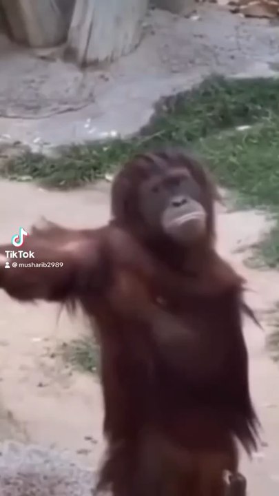 " Take time to improve but don't waste waste time to prove."