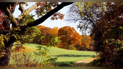 Âm nhạc thư giãn trị liệu với cảnh đẹp nhân gian - Những ý tưởng muôn màu của thiên nhiên