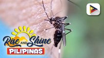 Kaso ng dengue sa bansa ngayong tag-ulan, tumaas ng 30% ayon sa DOH; 7 rehiyon sa bansa, nakitaan ng pagtaas ng kaso ng dengue