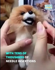 Realistic Pet Tributes Made From Wool