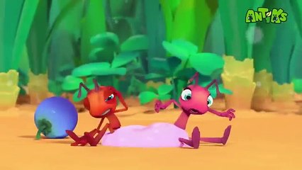 Sticky Shoes _ Antiks_ Funny Cartoons For Kids